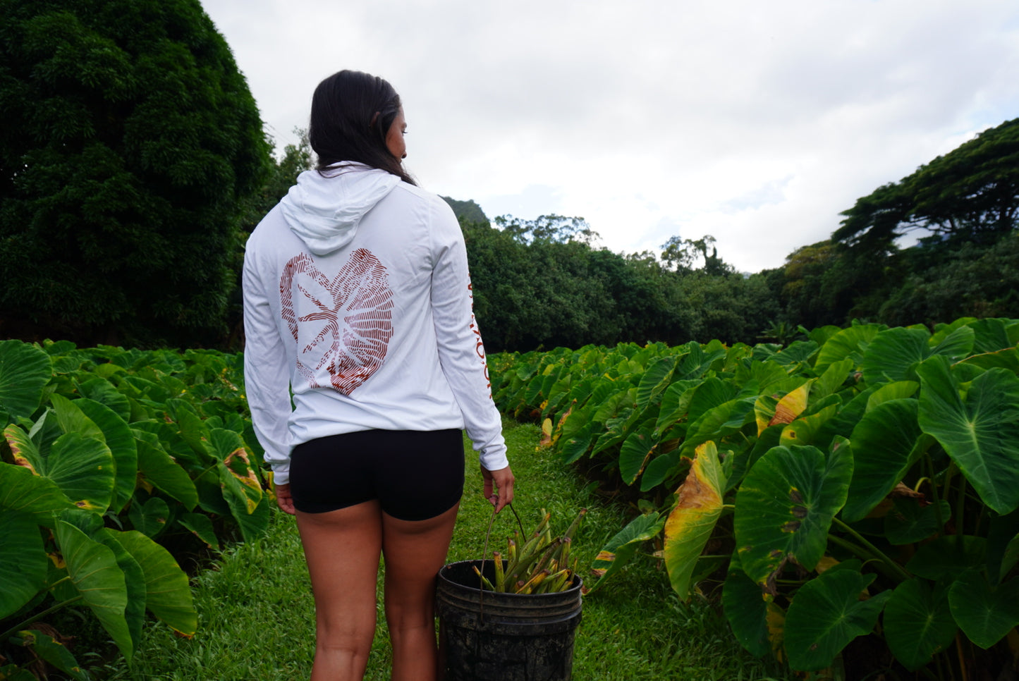 Dri-Fit Long Sleeve Hoodie