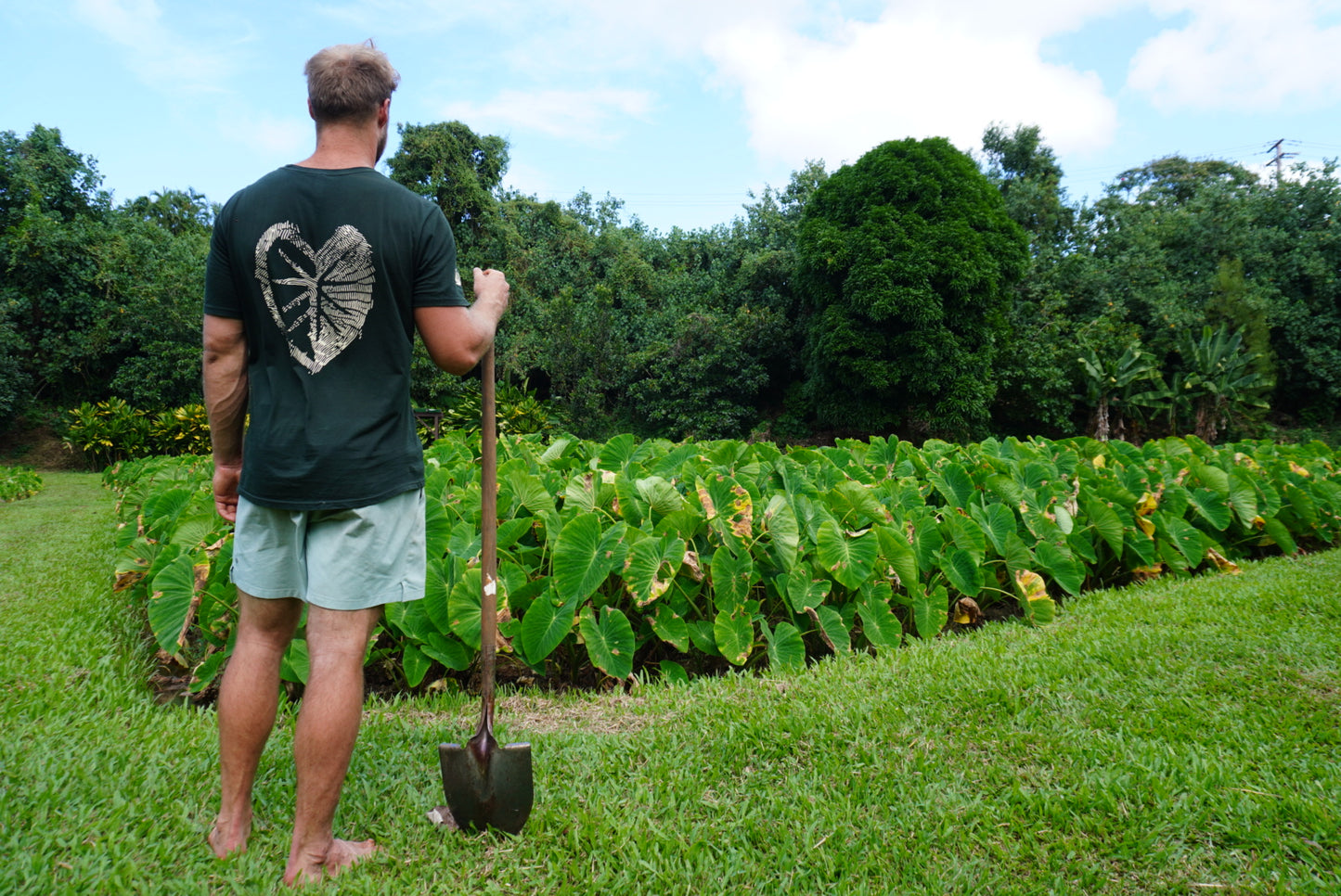 Cotton Short Sleeve T-Shirt