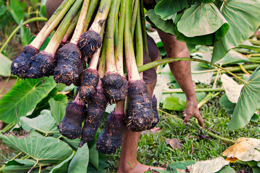 Raw Kalo